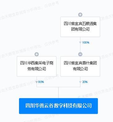 五粮液再落子数字科技，宜宾新公司聚焦信息系统集成服务
